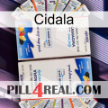 Cidala kamagra1